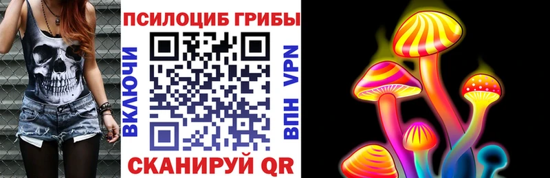 купить наркотики сайты  Димитровград  mega вход  Галлюциногенные грибы Psilocybe 